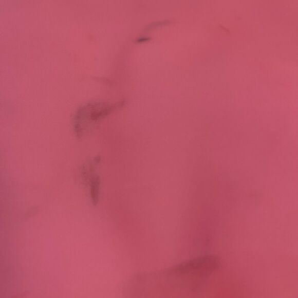 Lilly Pulitzer X Large Beach Bag & Pouch Rubber Pink gold trim robe straps - Picture 16 of 16